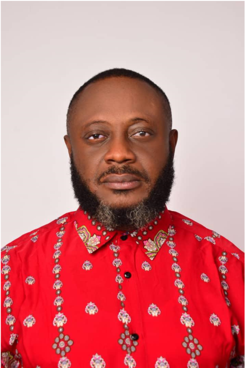 Mr. Wisdom Chinedu Nwaorgu